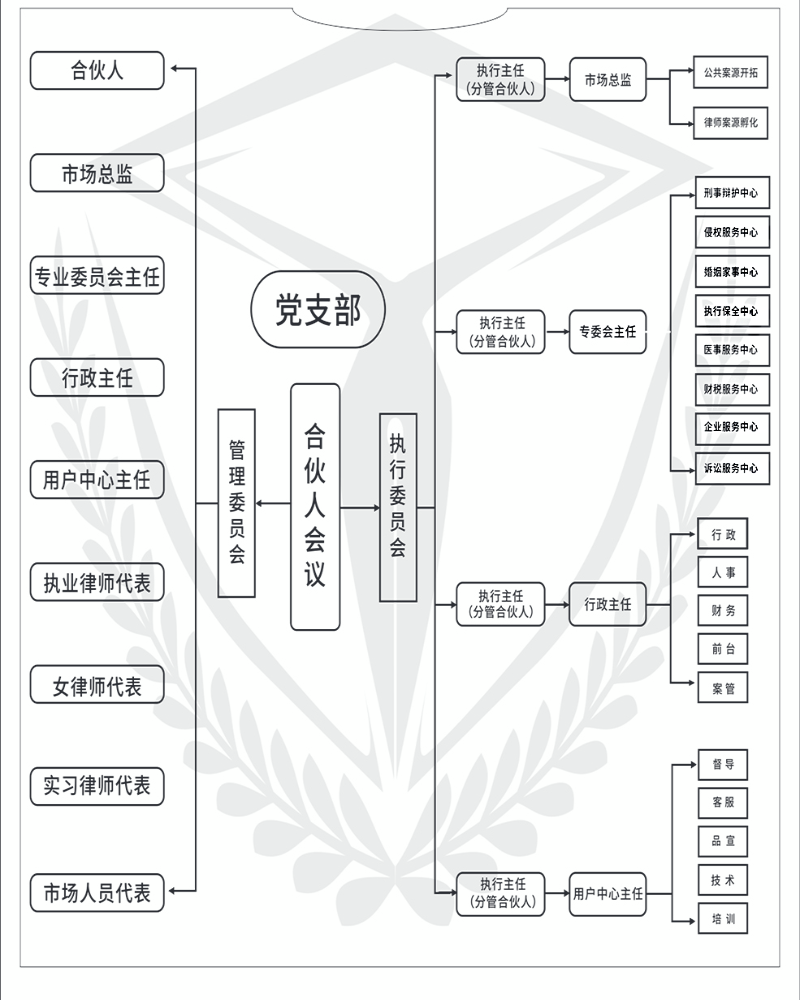 律所组织架构图