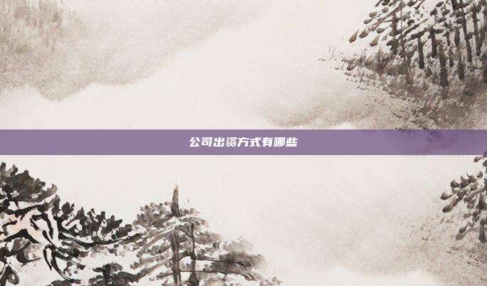 公司出资方式有哪些