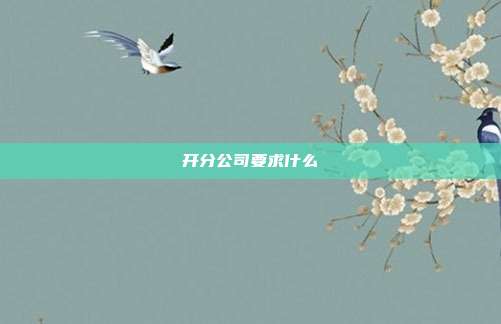 开分公司要求什么