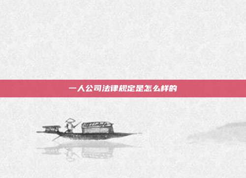 一人公司法律规定是怎么样的