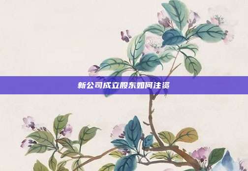 新公司成立股东如何注资