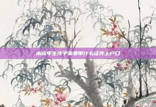 未成年生孩子需要带什么证件上户口