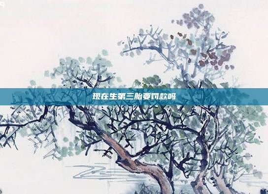 现在生第三胎要罚款吗