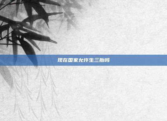 现在国家允许生三胎吗