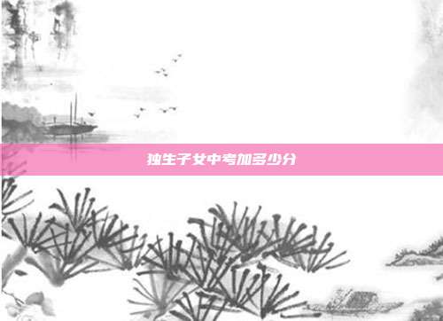 独生子女中考加多少分