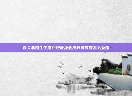 有关非婚生子落户规定社会抚养费问题怎么处理