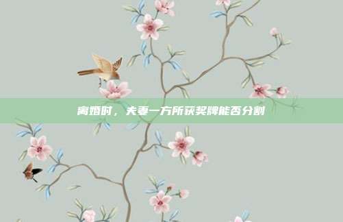 离婚时，夫妻一方所获奖牌能否分割
