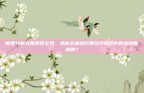 离婚分割有限责任公司、合伙企业组织等经济组织中的出资的原则？