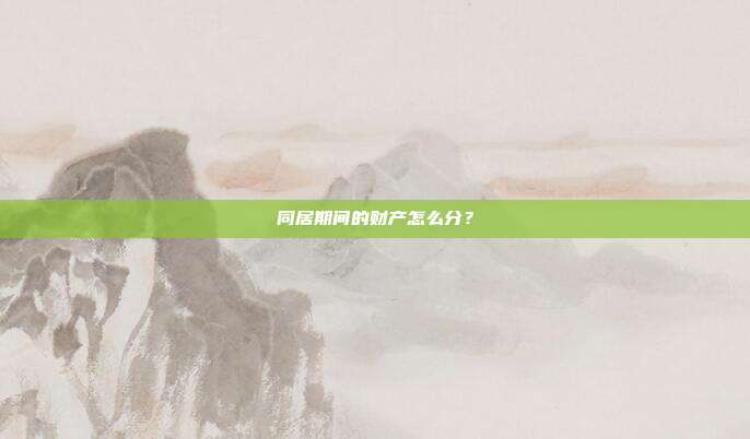 同居期间的财产怎么分？