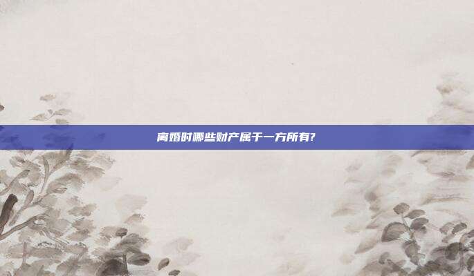 离婚时哪些财产属于一方所有?