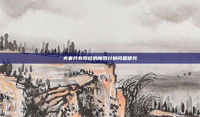 夫妻共有股权的离婚分割问题研究