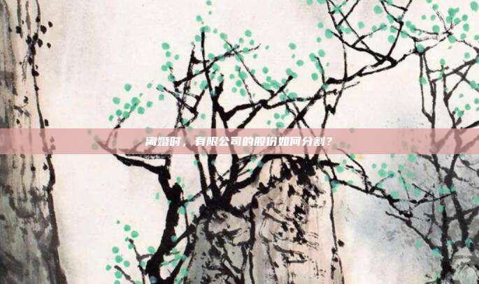 离婚时,有限公司的股份如何分割?