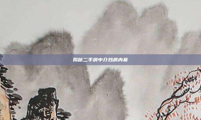 揭秘二手房中介炒房内幕