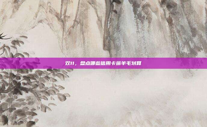双11,盘点哪些信用卡薅羊毛划算