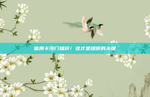 信用卡冷门知识！这才是提额的关键
