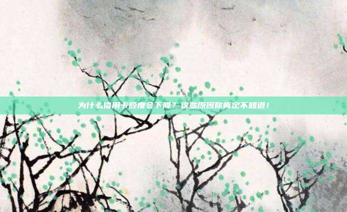 为什么信用卡额度会下降？这些原因你肯定不知道！