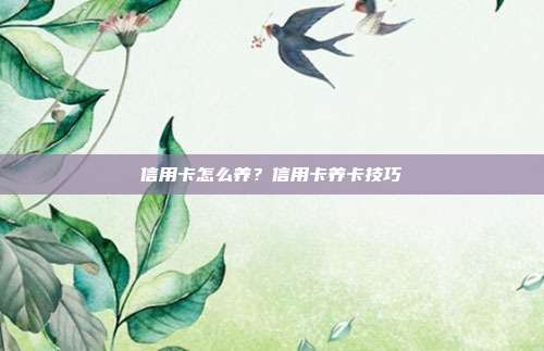 信用卡怎么养？信用卡养卡技巧