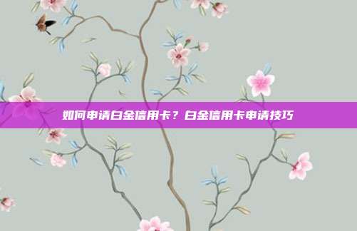 如何申请白金信用卡？白金信用卡申请技巧