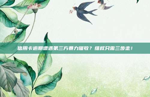 信用卡逾期遭遇第三方暴力催收？维权只需三步走！