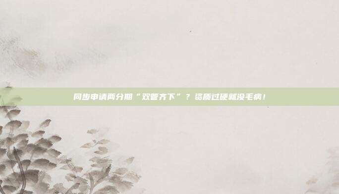 同步申请两分期“双管齐下”？资质过硬就没毛病！