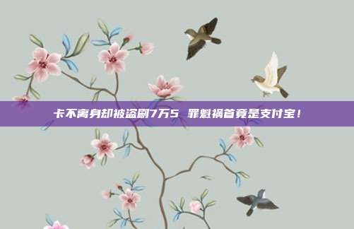 卡不离身却被盗刷7万5 罪魁祸首竟是支付宝！