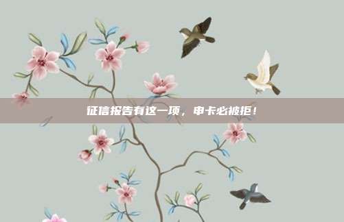 征信报告有这一项，申卡必被拒！