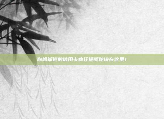 你想知道的信用卡疯狂提额秘诀在这里!