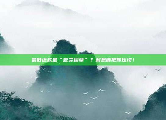 最低还款是“救命稻草”？利息能把你压垮！