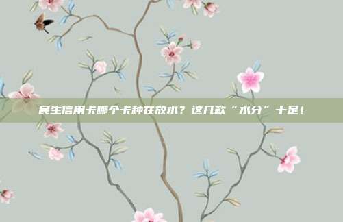民生信用卡哪个卡种在放水？这几款“水分”十足！