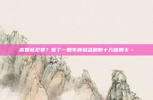 高智商犯罪？看了一眼车牌就盗刷数十万信用卡…