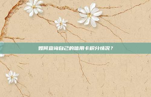 如何查询自己的信用卡积分情况？