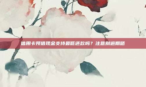 信用卡预借现金支持最低还款吗?注意别逾期咯