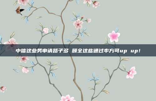 中信这业务申请路子多 顾全这些通过率方可up up!