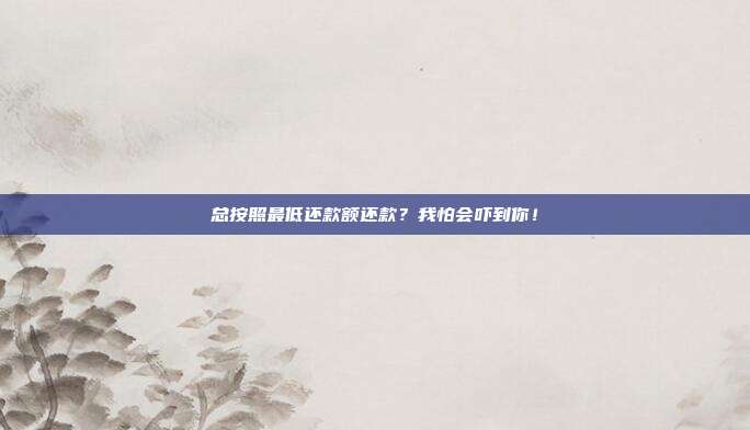 总按照最低还款额还款?我怕会吓到你!