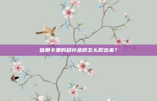 信用卡里的超存金额怎么取出来?