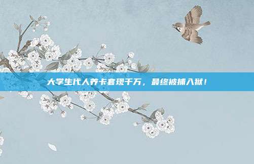 大学生代人养卡套现千万，最终被捕入狱！