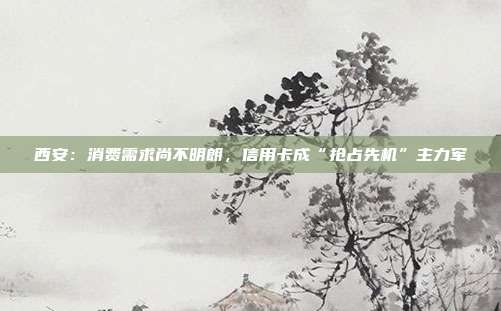 西安：消费需求尚不明朗，信用卡成“抢占先机”主力军