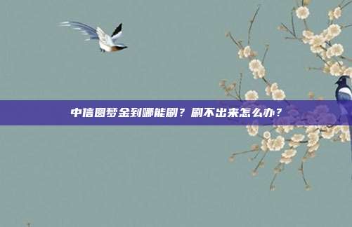 中信圆梦金到哪能刷？刷不出来怎么办？