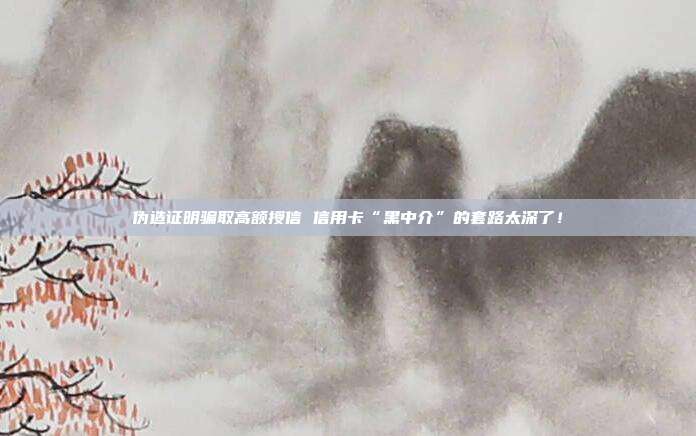 伪造证明骗取高额授信 信用卡“黑中介”的套路太深了！