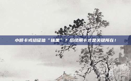 小额卡或给征信“抹黑”？后续用卡才是关键所在！