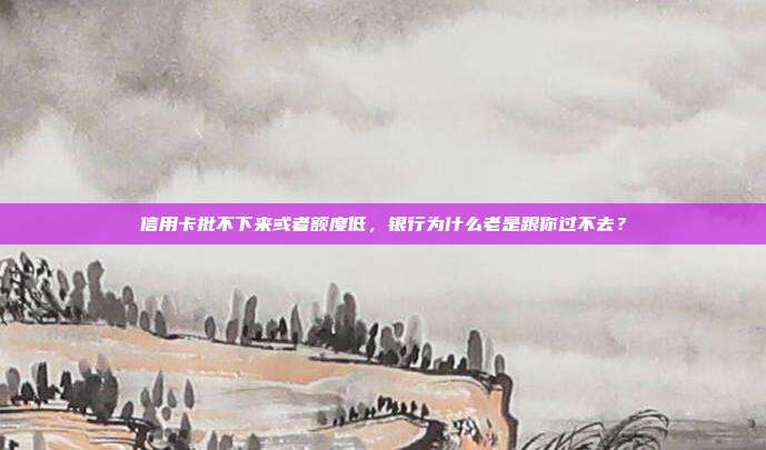 信用卡批不下来或者额度低，银行为什么老是跟你过不去？
