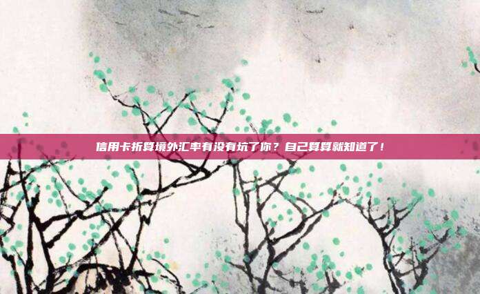 信用卡折算境外汇率有没有坑了你？自己算算就知道了！