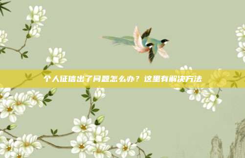个人征信出了问题怎么办？这里有解决方法