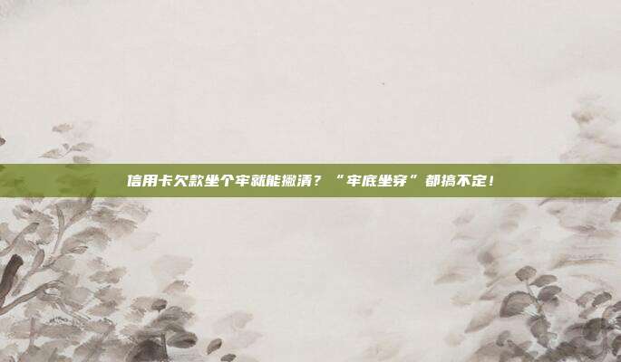 信用卡欠款坐个牢就能撇清？“牢底坐穿”都搞不定！