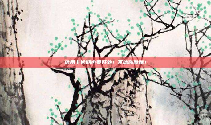 信用卡逾期也要好处！不信你瞧瞧！