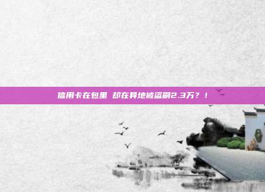 信用卡在包里 却在异地被盗刷2.3万？！