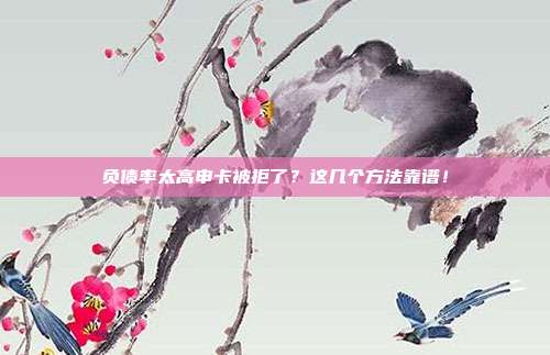 负债率太高申卡被拒了？这几个方法靠谱！