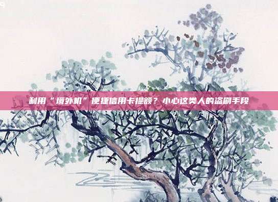 利用“境外机”便捷信用卡提额？小心这类人的盗刷手段