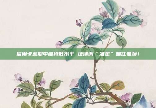信用卡逾期率维持低水平 法律调“准星”瞄住老赖！