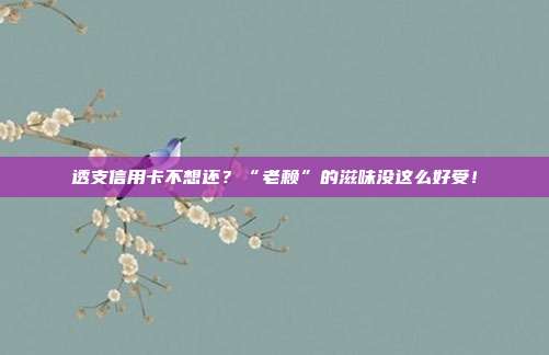 透支信用卡不想还?“老赖”的滋味没这么好受!